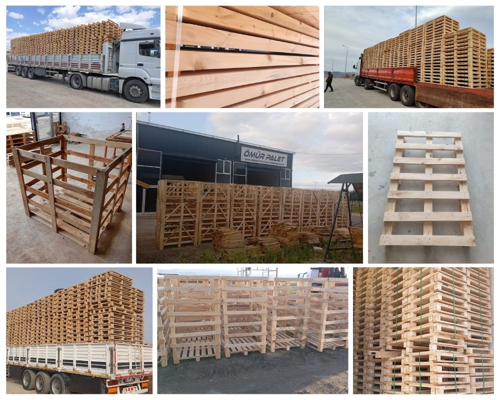 Haarlem Houten Kisten, Europallets Groothandel Kopen